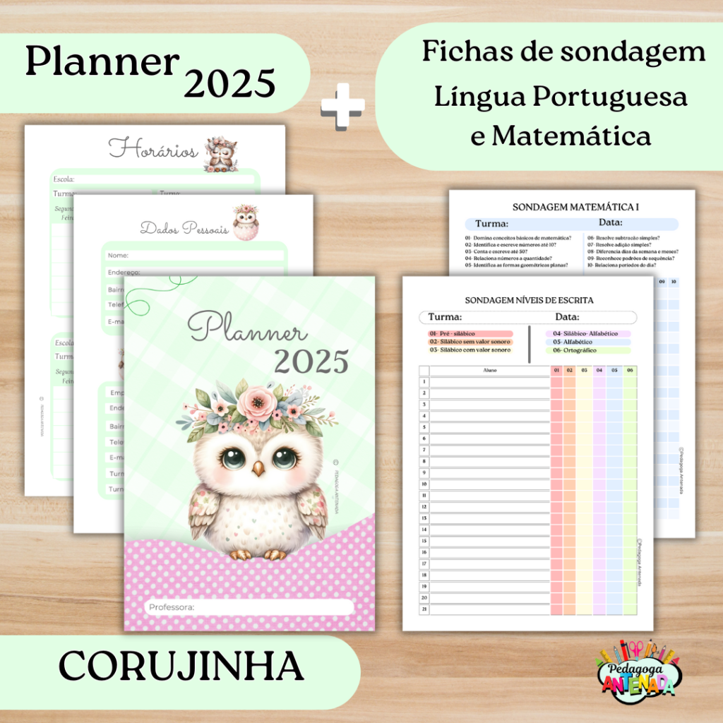 planner corujinha 2025